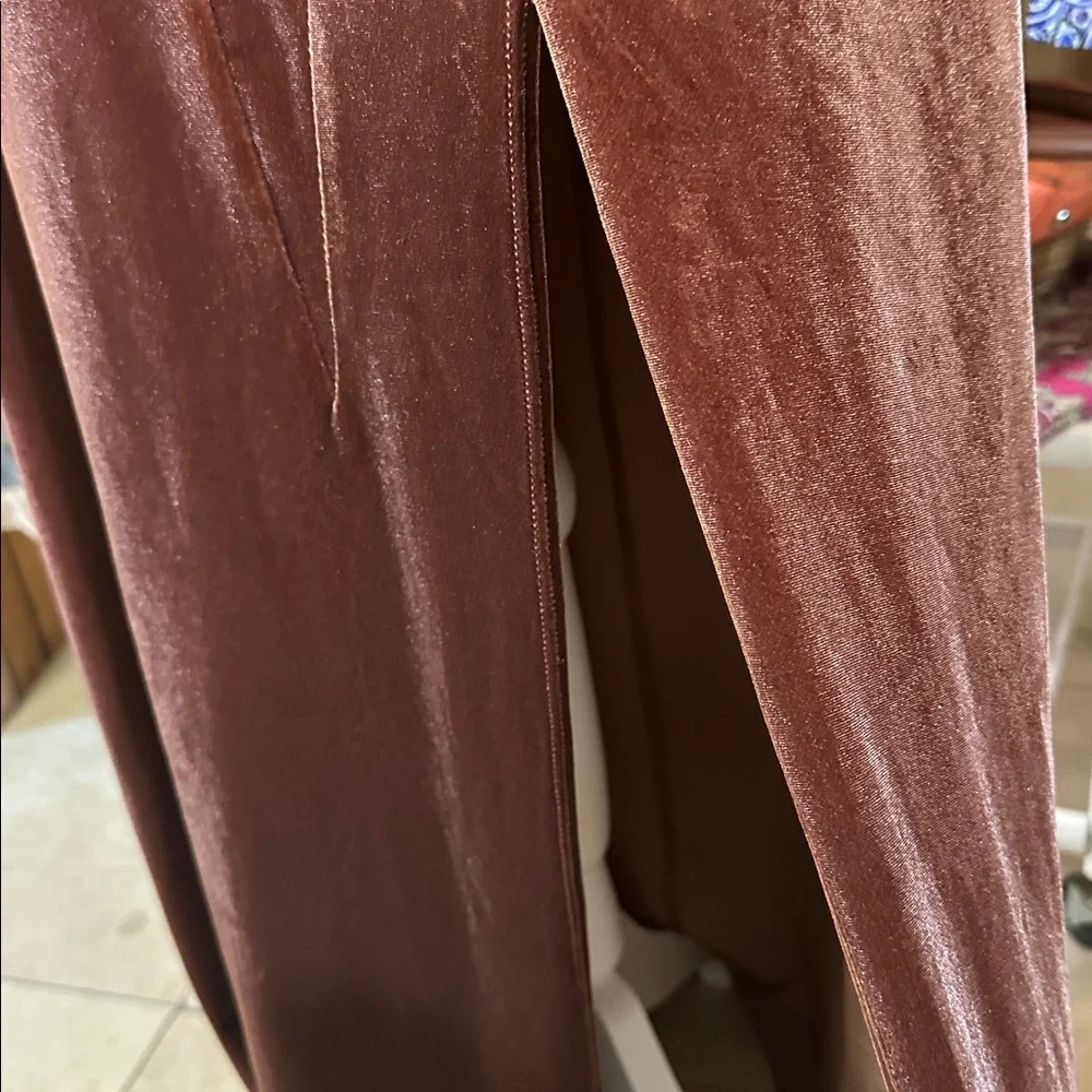 SEXY Maker of Dreams Brown Velvet Dress WORN ONCE Size S - Picture 3 of 6
